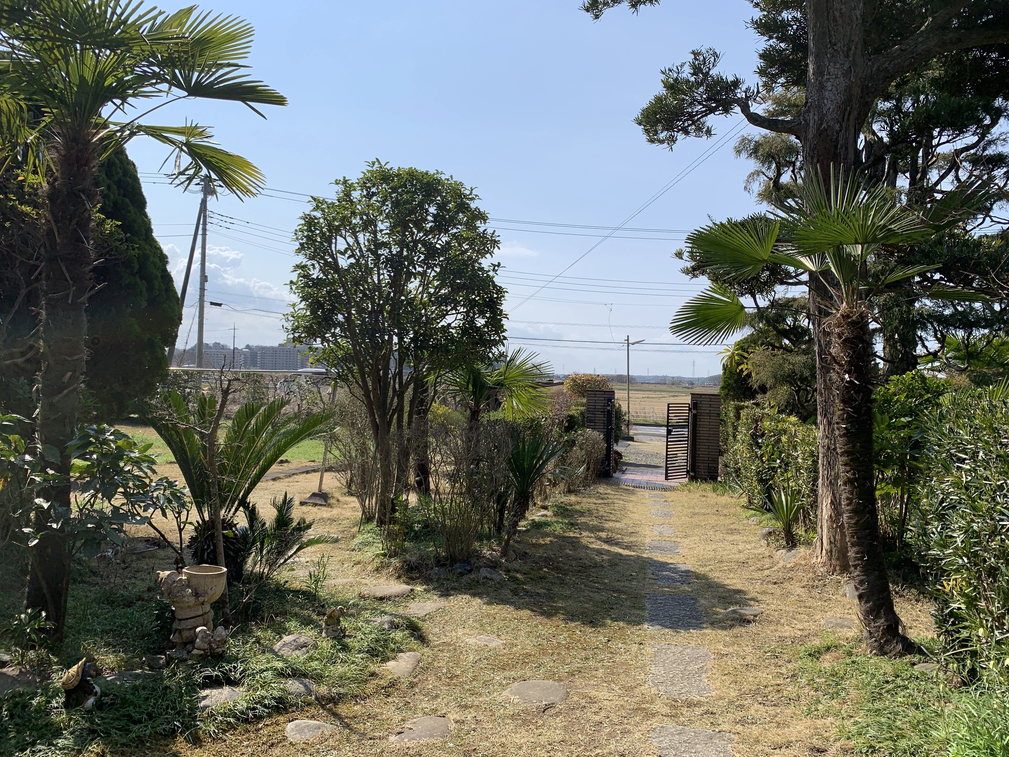 区域