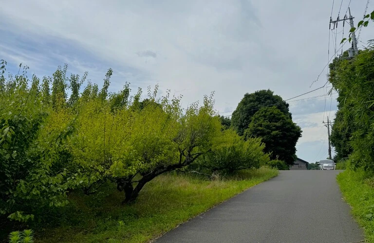 調整区域専門の不動産売買なら！