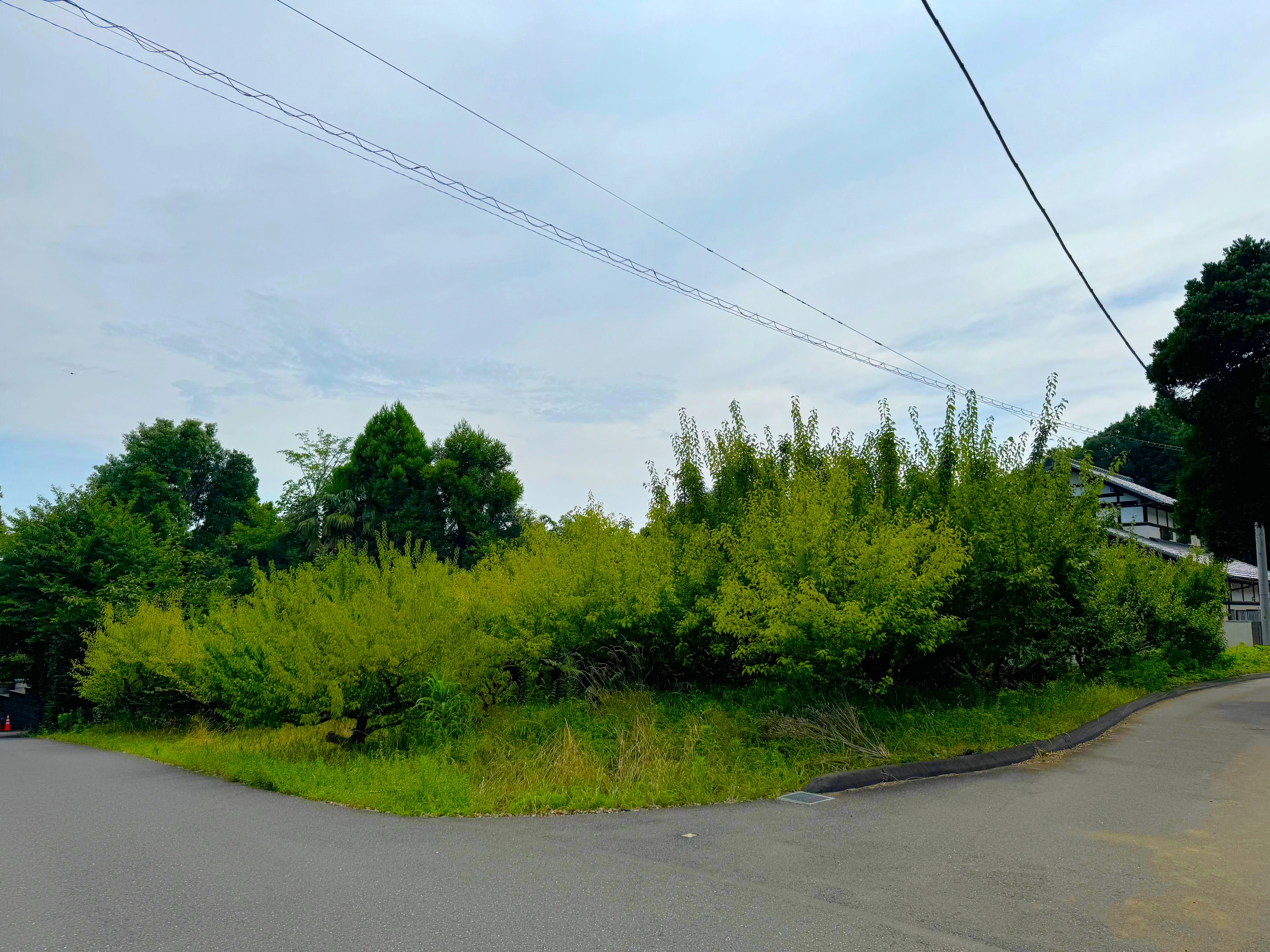 未利用地の査定とその重要性